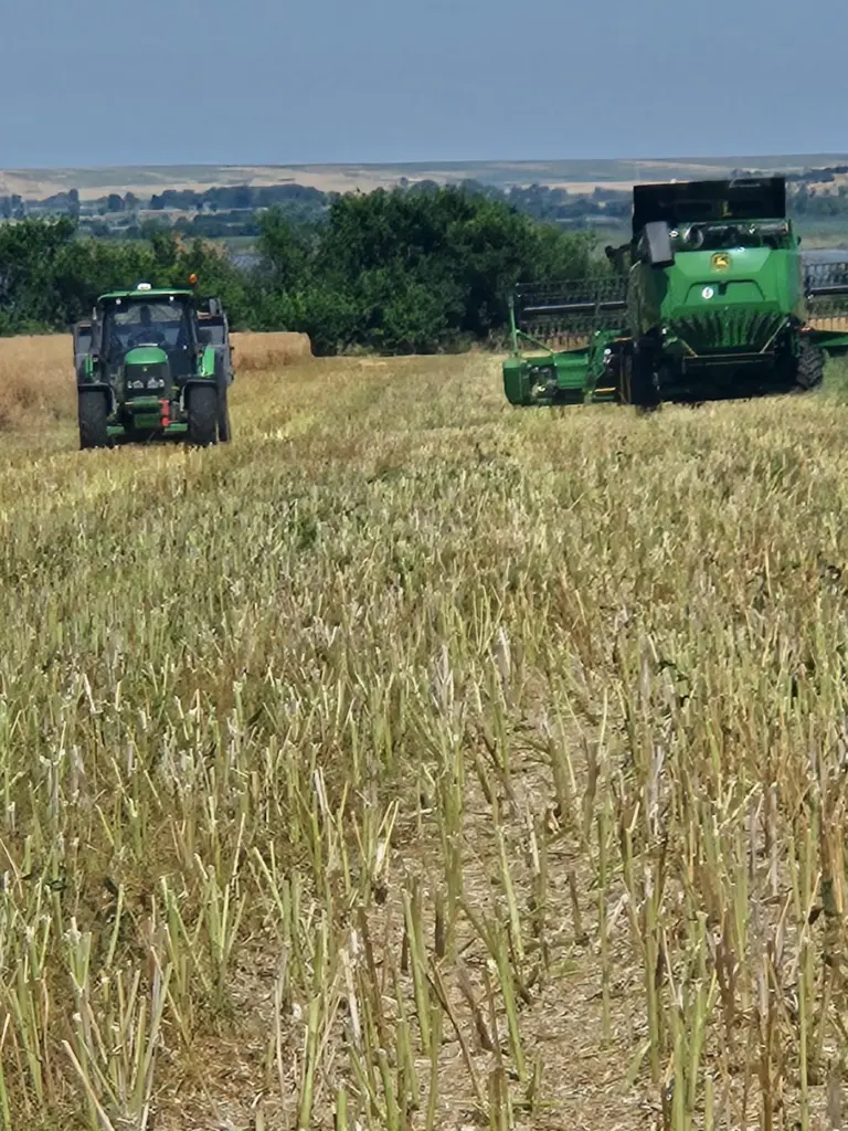 Жътва с комбайн John Deere на полето на ВЗК Христо Ботев Бургас